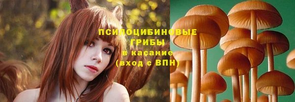 соль курить ск Алексин