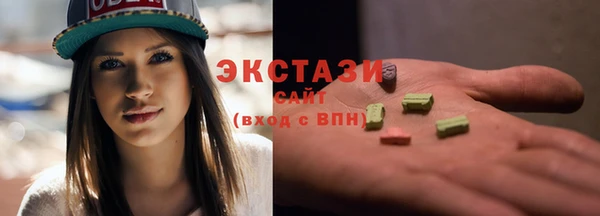 стаф Аркадак