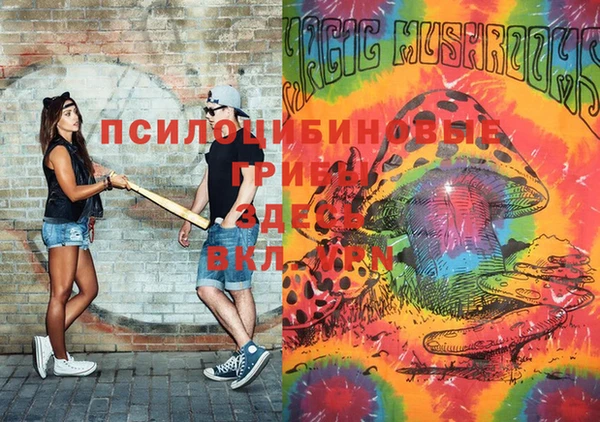 гашик Алзамай