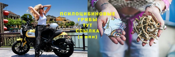 гашик Алзамай
