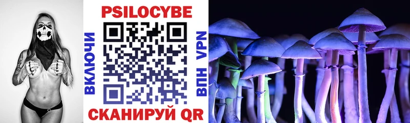 где найти   Белый  Псилоцибиновые грибы мицелий 